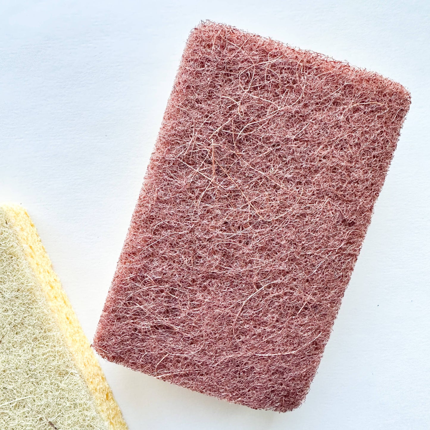 Oppdag den naturlige, plastfrie og komposterbare svampen! Laget av tre-cellulose, ideell for oppvask, rengjøring-Ovenfra bilde av svamp av cellulose og er helt plastfri-The organic way.