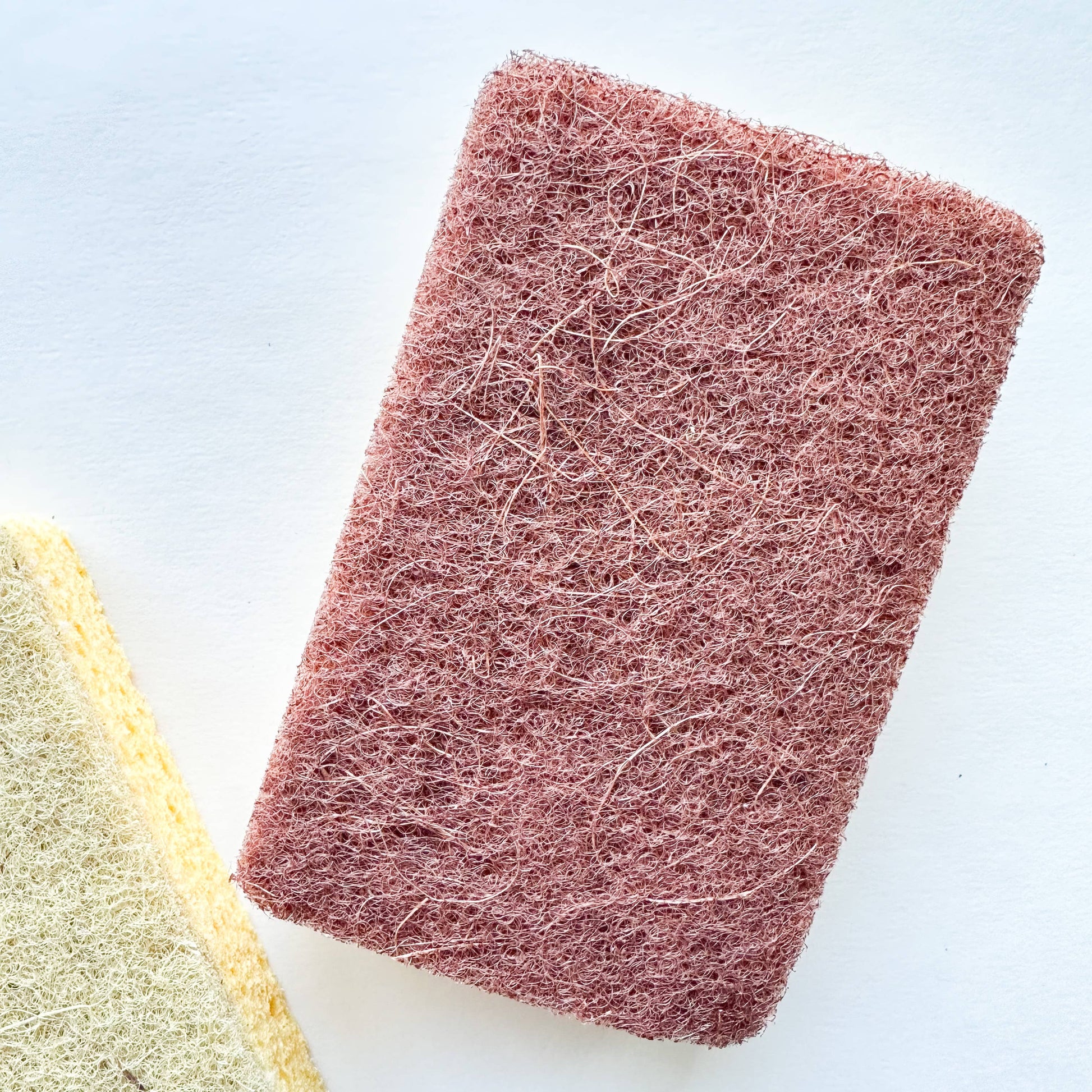 Oppdag den naturlige, plastfrie og komposterbare svampen! Laget av tre-cellulose, ideell for oppvask, rengjøring-Ovenfra bilde av svamp av cellulose og er helt plastfri-The organic way.